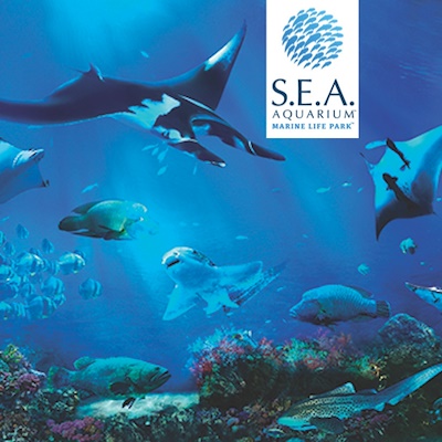 SEA Aquarium